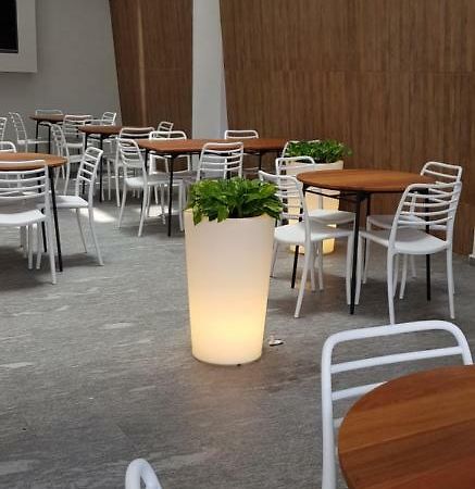 Quinto Elemento Hotel Mexico City Luaran gambar
